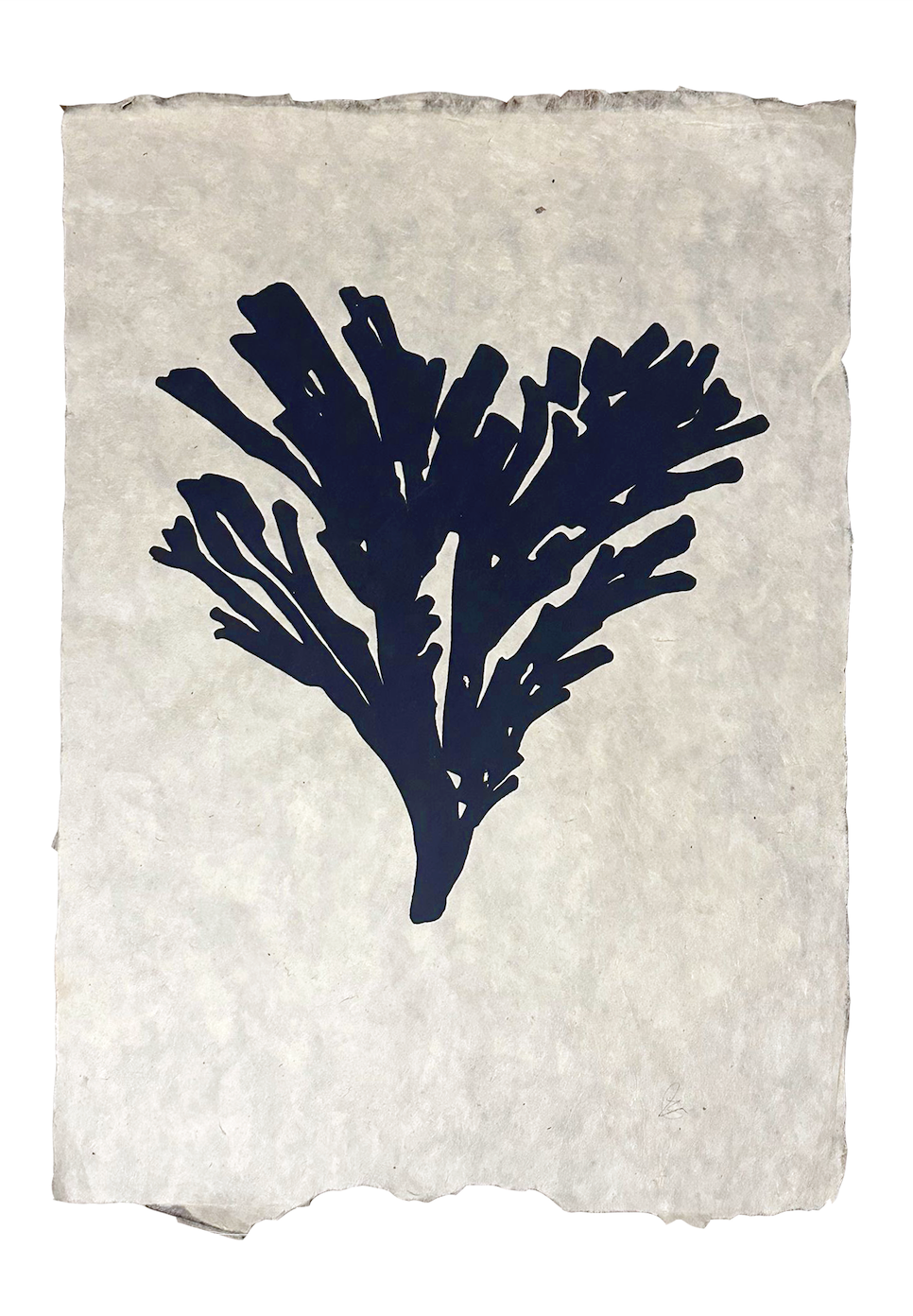 ‘Gwymon I’ Print Indigo